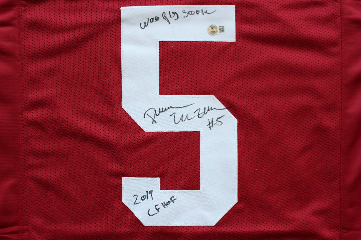 DARREN McFADDEN ARKANSAS RAZORBACKS SIGNED JERSEY w/WPS 2019 CFHOF BAS COA