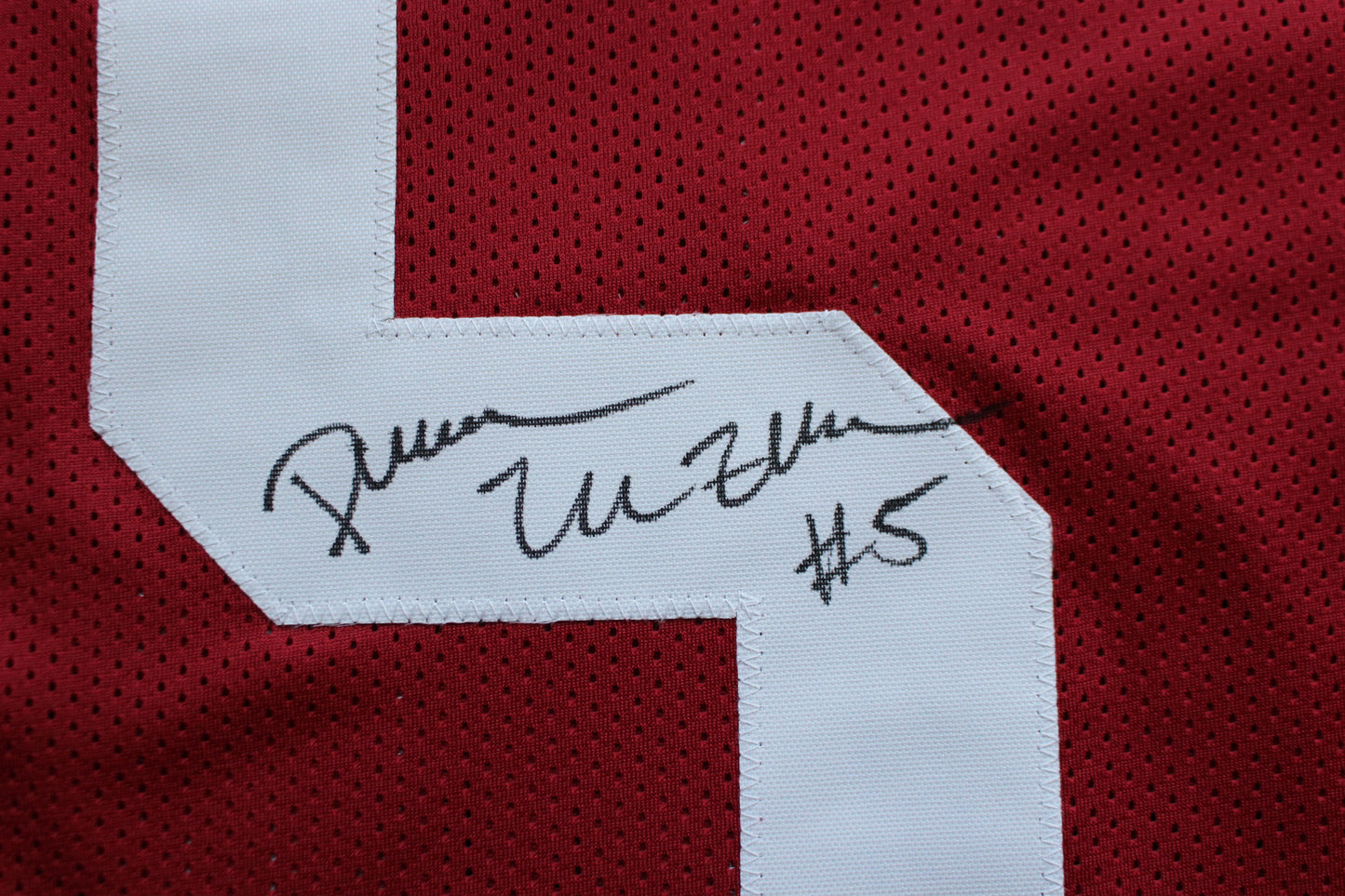 DARREN McFADDEN ARKANSAS RAZORBACKS SIGNED JERSEY w/WPS 2019 CFHOF BAS COA