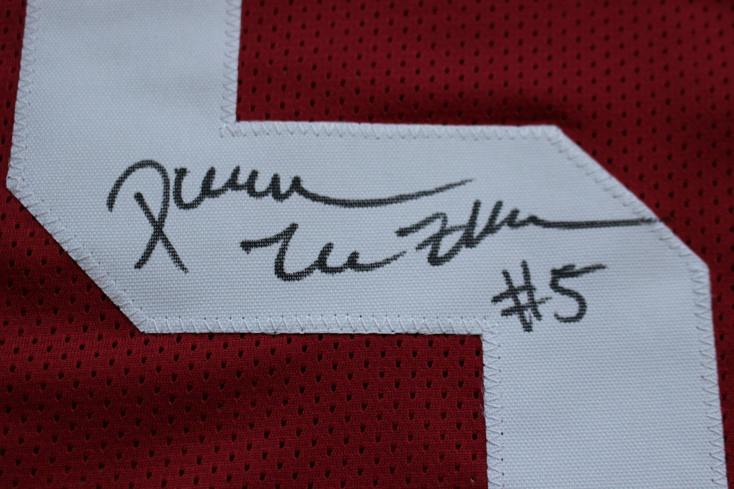 DARREN McFADDEN ARKANSAS RAZORBACKS SIGNED JERSEY w/WPS 2019 CFHOF BAS COA