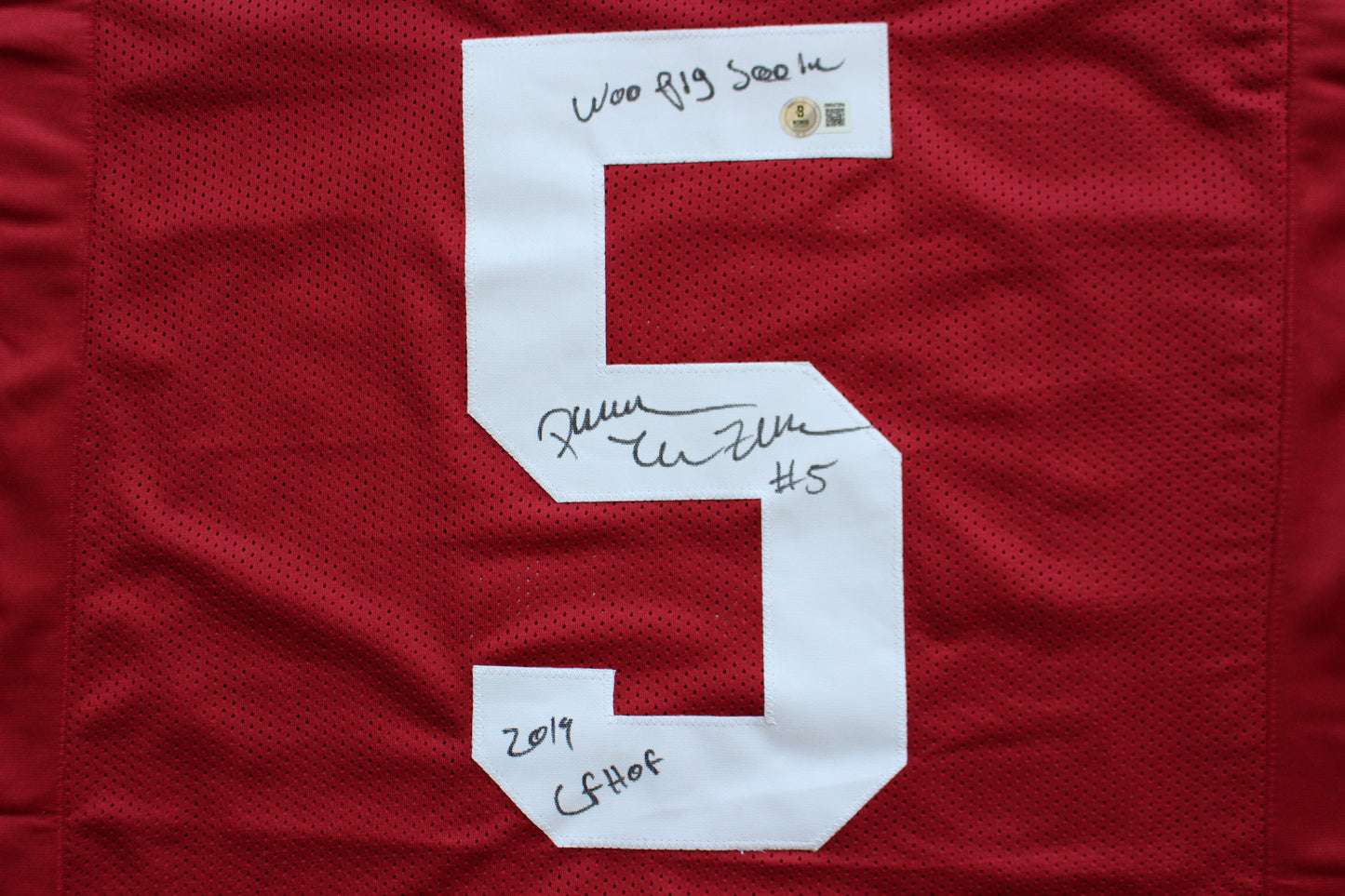 DARREN McFADDEN ARKANSAS RAZORBACKS SIGNED JERSEY w/WPS 2019 CFHOF BAS COA