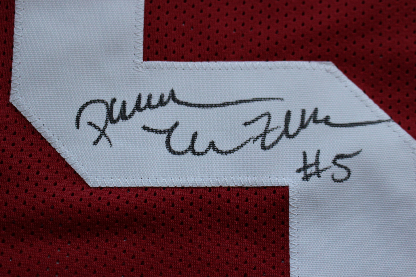 DARREN McFADDEN ARKANSAS RAZORBACKS SIGNED JERSEY w/WPS 2019 CFHOF BAS COA