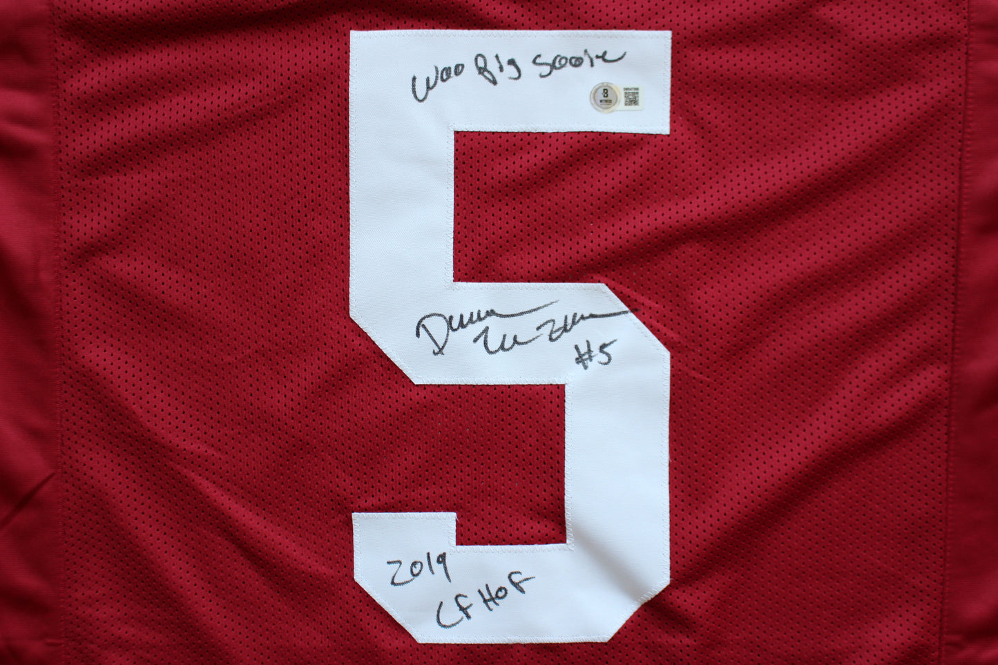 DARREN McFADDEN ARKANSAS RAZORBACKS SIGNED JERSEY w/WPS 2019 CFHOF BAS COA