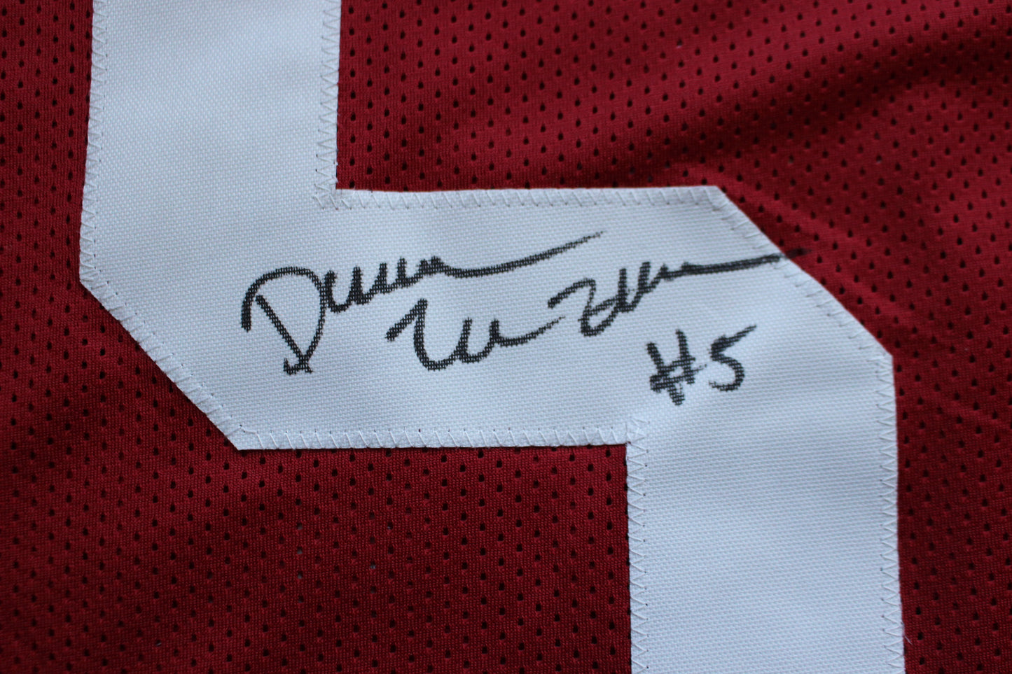 DARREN McFADDEN ARKANSAS RAZORBACKS SIGNED JERSEY w/WPS 2019 CFHOF BAS COA