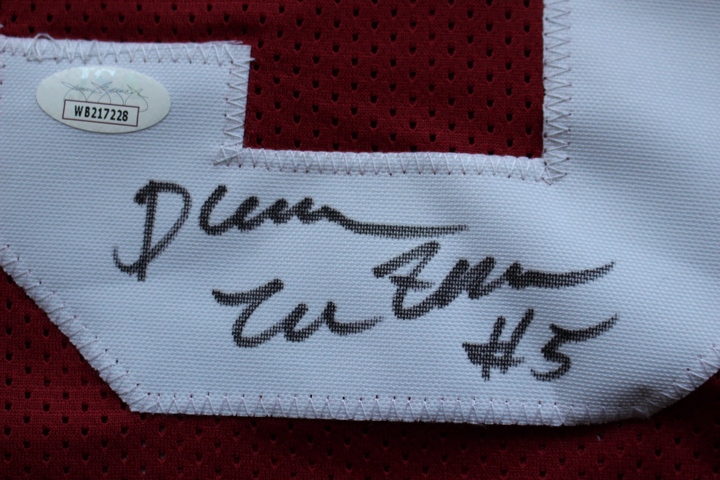 DARREN McFADDEN ARKANSAS RAZORBACKS SIGNED JERSEY Large w/WPS 2xAA JSA COA