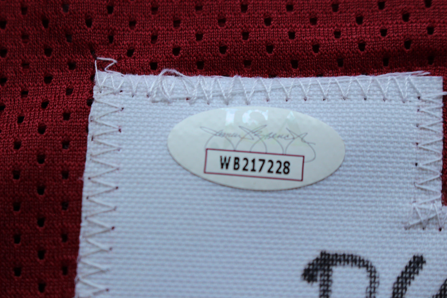 DARREN McFADDEN ARKANSAS RAZORBACKS SIGNED JERSEY Large w/WPS 2xAA JSA COA