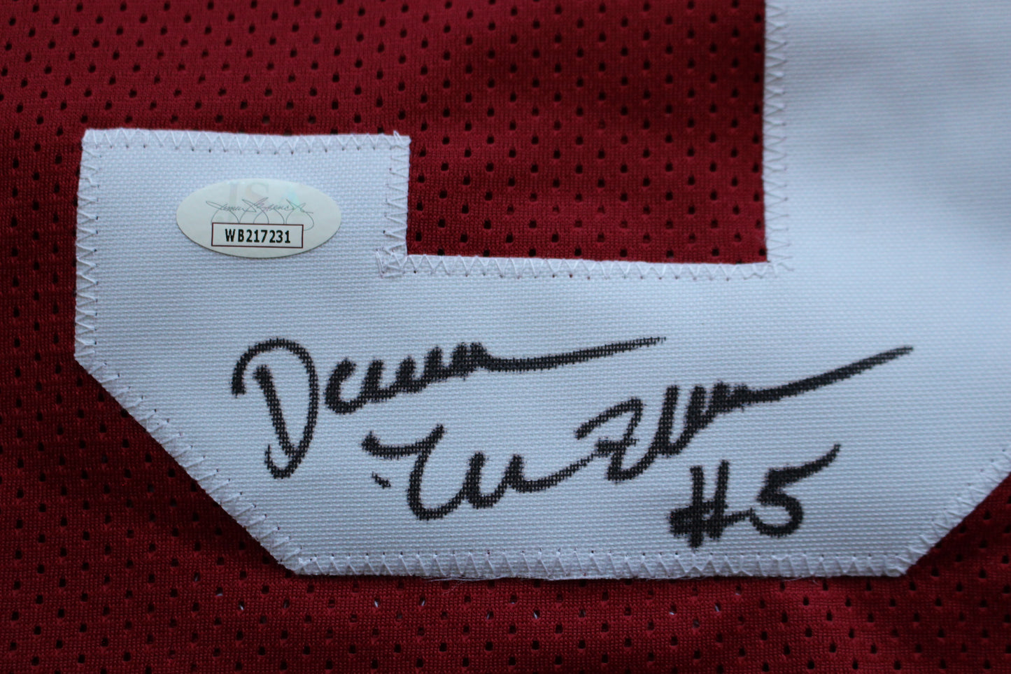 DARREN McFADDEN ARKANSAS RAZORBACKS SIGNED JERSEY w/WPS 2xAllAmerican JSA