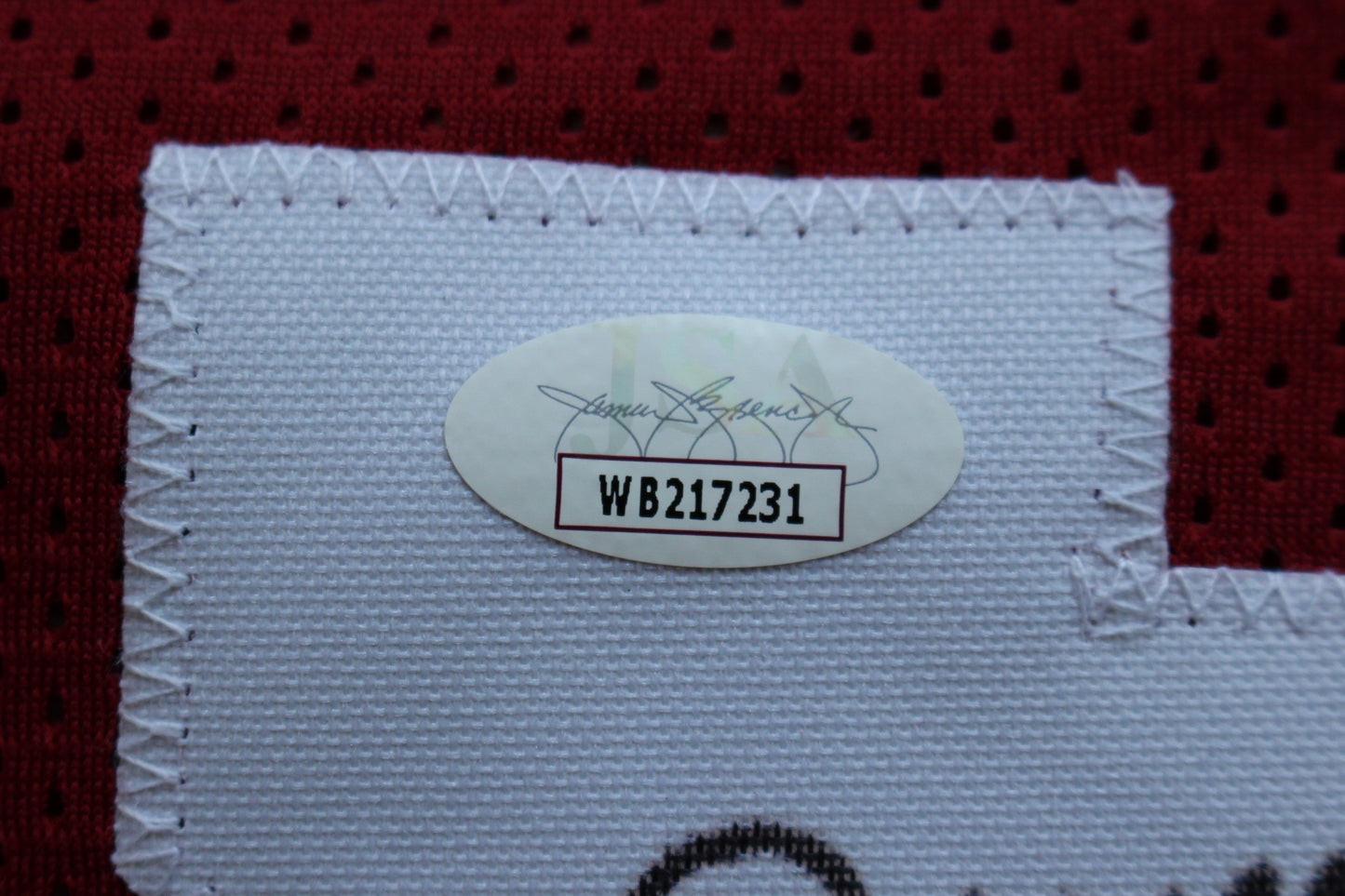 DARREN McFADDEN ARKANSAS RAZORBACKS SIGNED JERSEY w/WPS 2xAllAmerican JSA