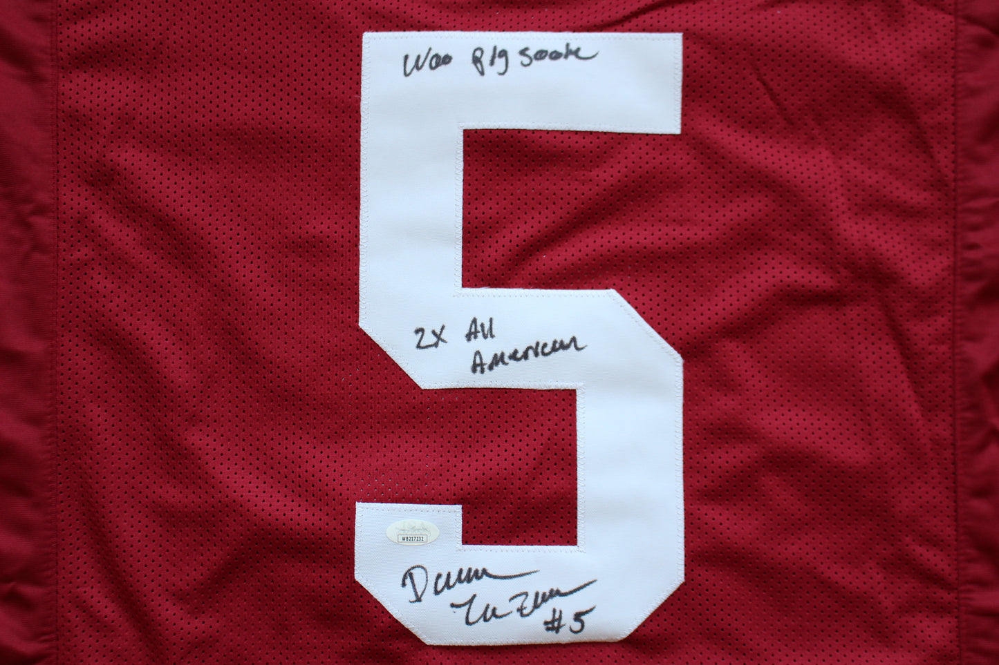 DARREN McFADDEN ARKANSAS RAZORBACKS SIGNED JERSEY w/WPS 2xAllAmerican JSA