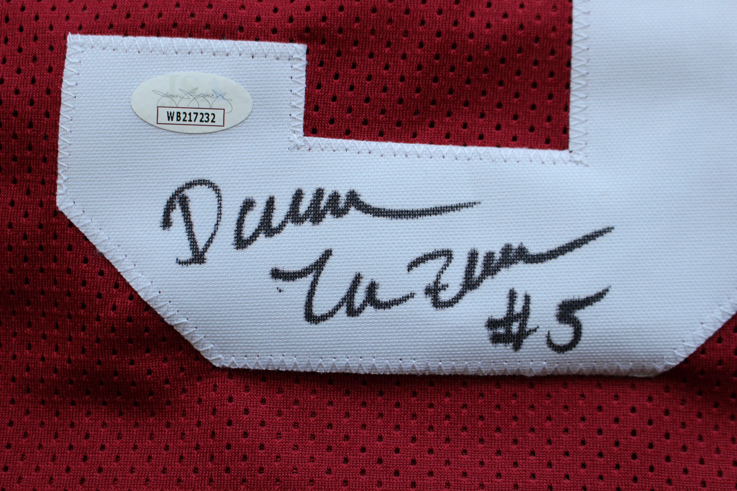DARREN McFADDEN ARKANSAS RAZORBACKS SIGNED JERSEY w/WPS 2xAllAmerican JSA