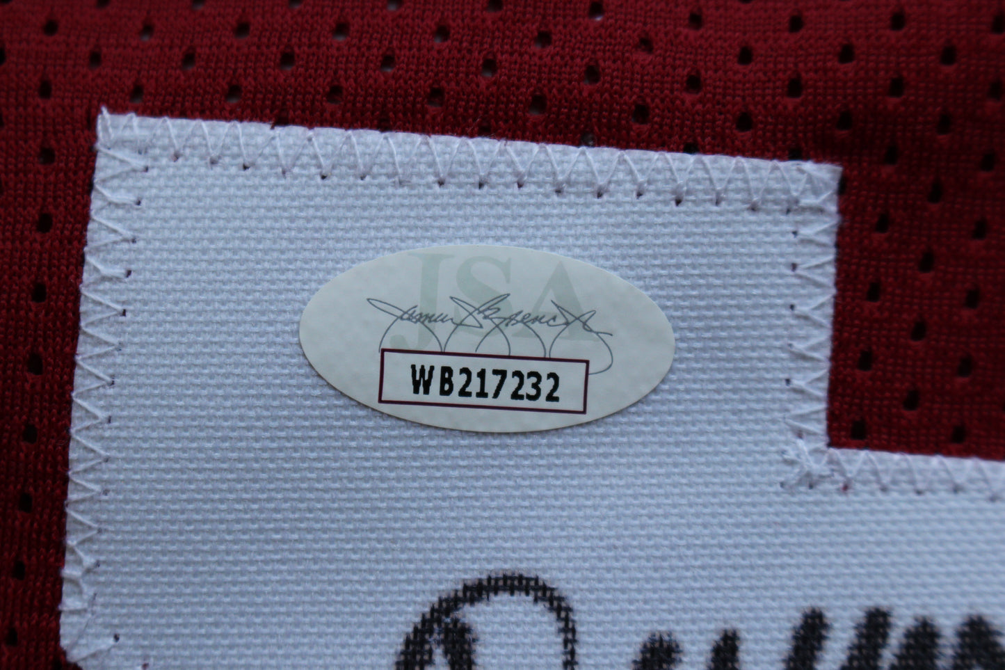 DARREN McFADDEN ARKANSAS RAZORBACKS SIGNED JERSEY w/WPS 2xAllAmerican JSA