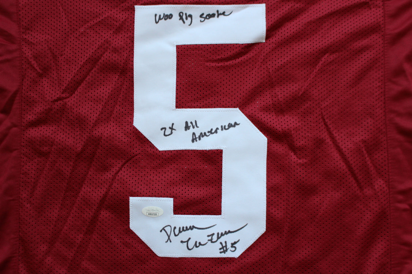 DARREN McFADDEN ARKANSAS RAZORBACKS SIGNED JERSEY w/WPS 2xAllAmerican JSA
