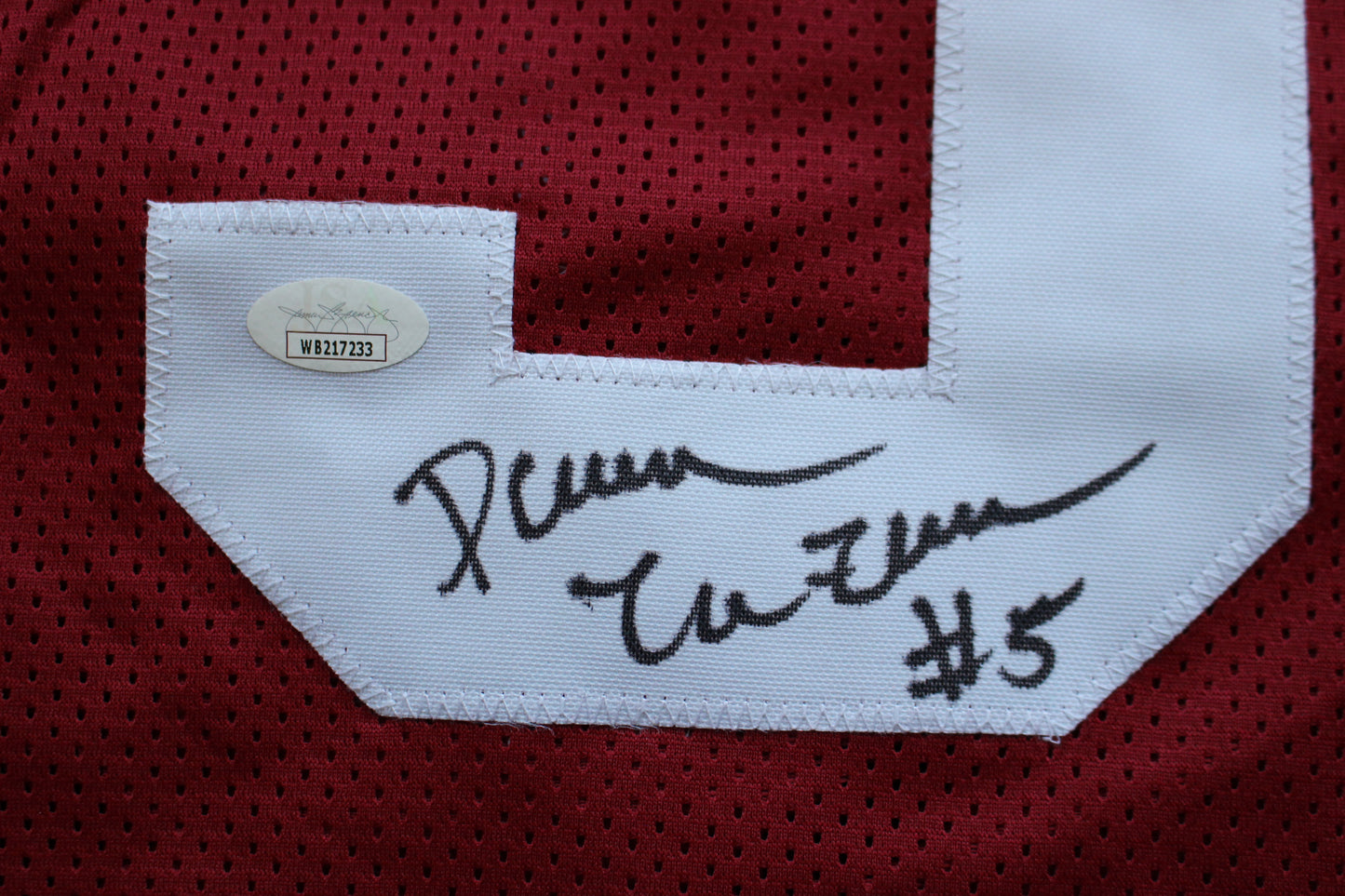 DARREN McFADDEN ARKANSAS RAZORBACKS SIGNED JERSEY w/WPS 2xAllAmerican JSA