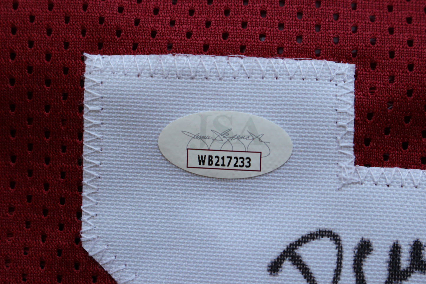 DARREN McFADDEN ARKANSAS RAZORBACKS SIGNED JERSEY w/WPS 2xAllAmerican JSA
