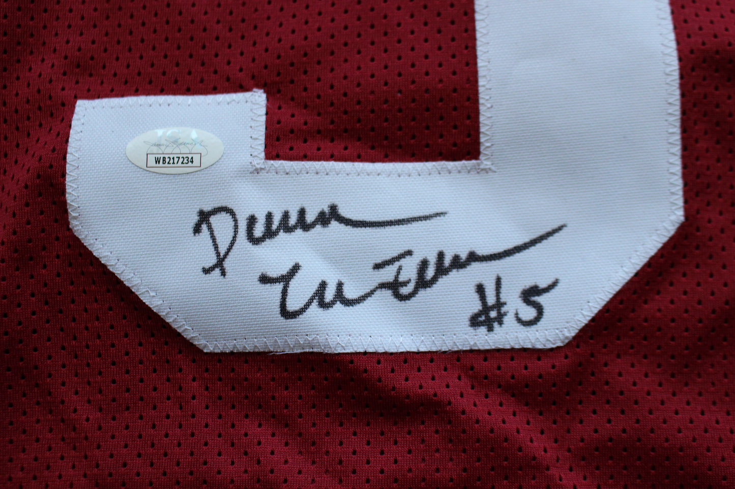 DARREN McFADDEN ARKANSAS RAZORBACKS SIGNED JERSEY w/WPS 2xAllAmerican JSA