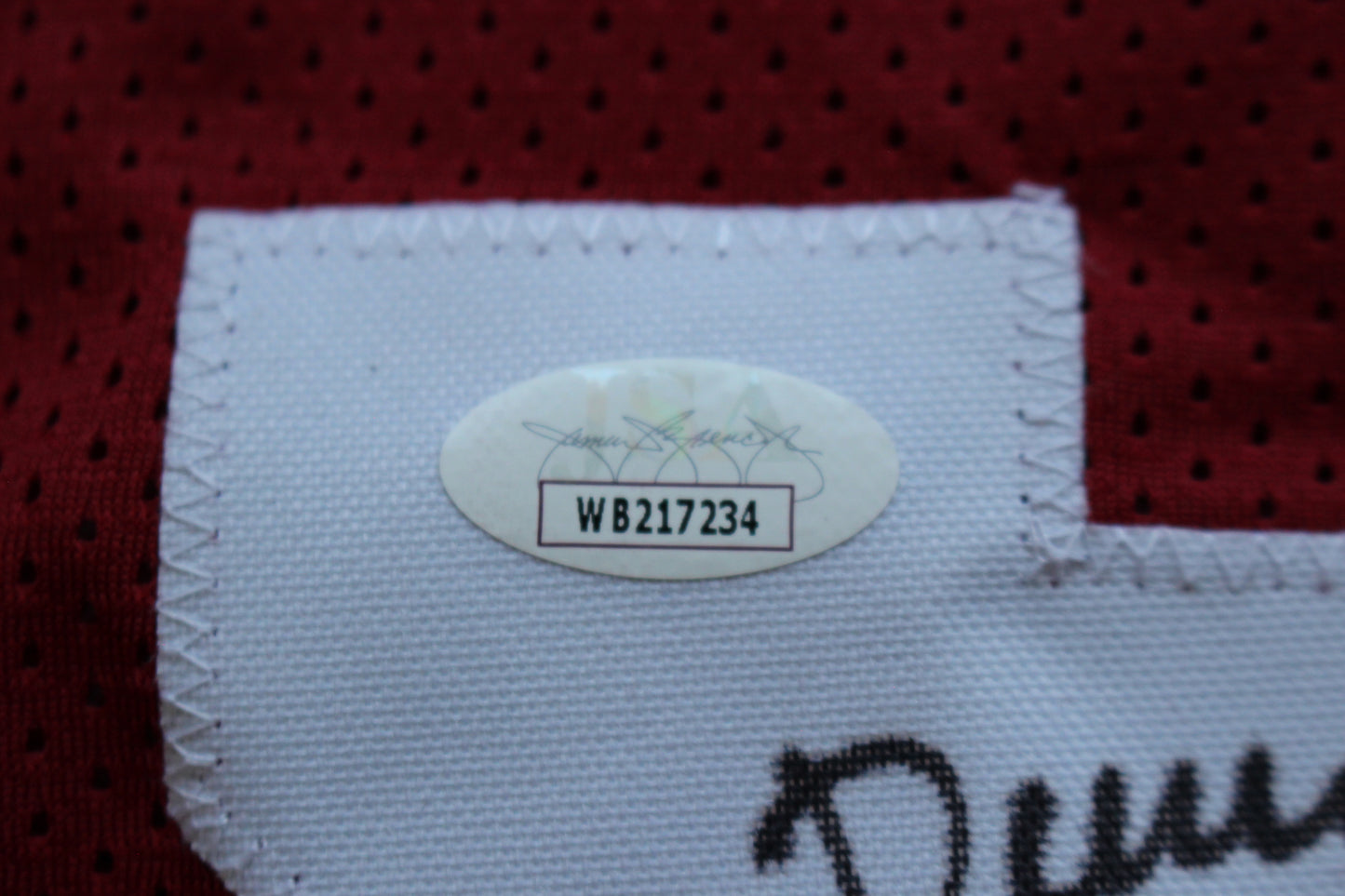 DARREN McFADDEN ARKANSAS RAZORBACKS SIGNED JERSEY w/WPS 2xAllAmerican JSA