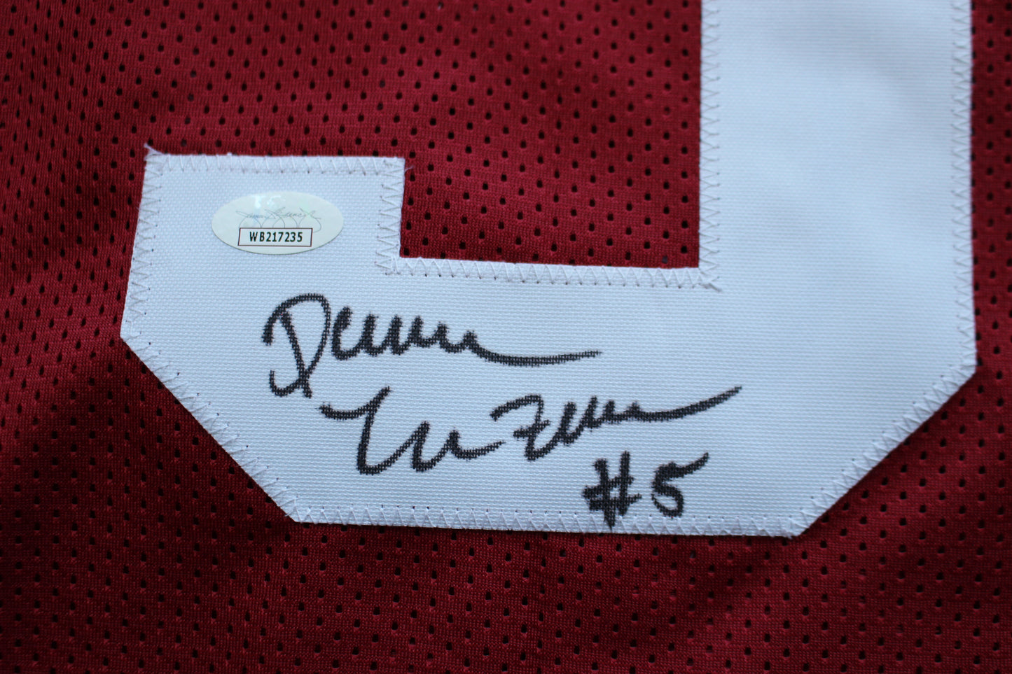 DARREN McFADDEN ARKANSAS RAZORBACKS SIGNED JERSEY w/WPS 2xAllAmerican JSA