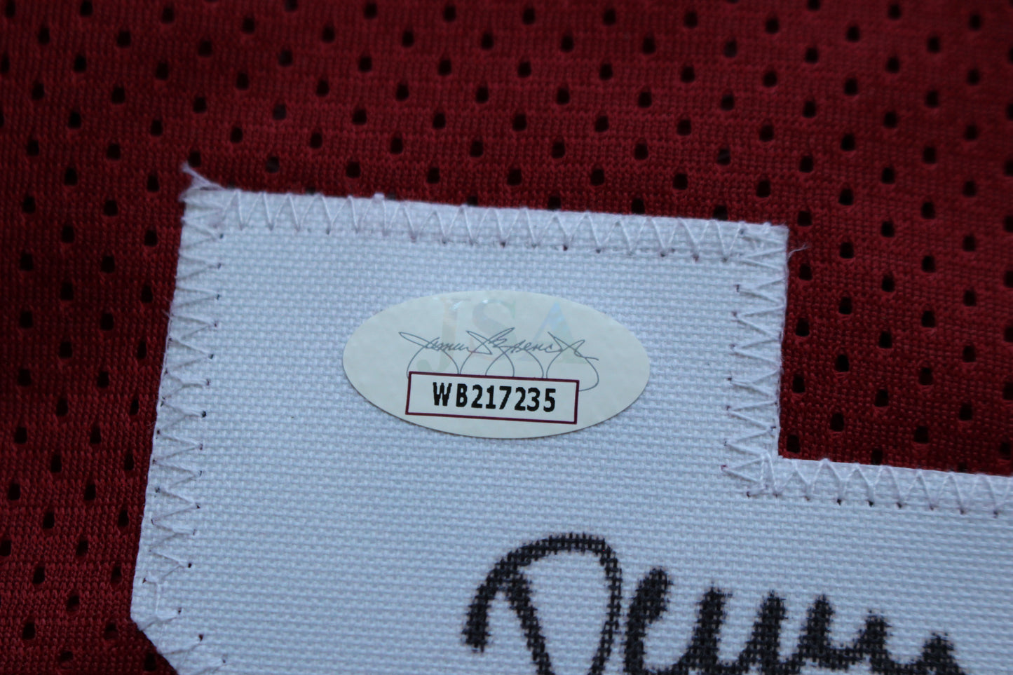 DARREN McFADDEN ARKANSAS RAZORBACKS SIGNED JERSEY w/WPS 2xAllAmerican JSA