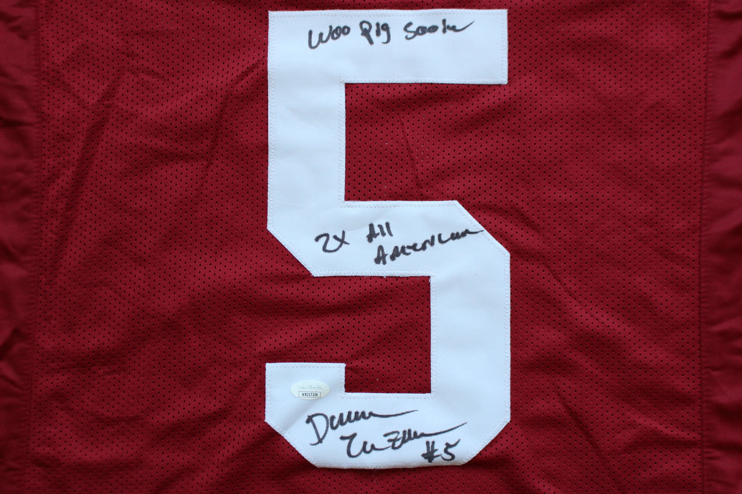 DARREN McFADDEN ARKANSAS RAZORBACKS SIGNED JERSEY w/WPS 2xAllAmerican JSA