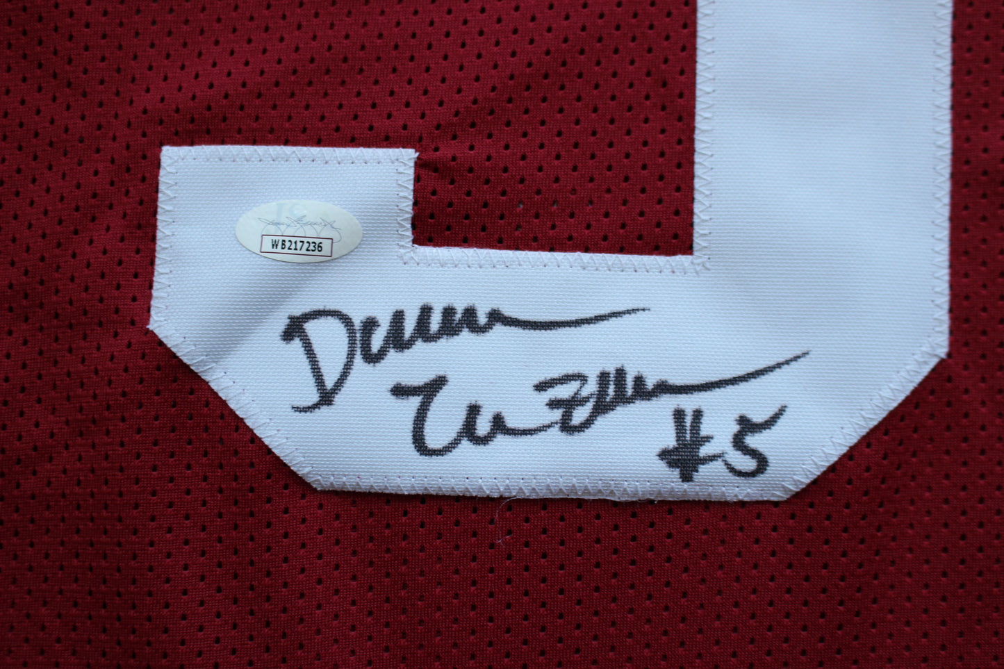 DARREN McFADDEN ARKANSAS RAZORBACKS SIGNED JERSEY w/WPS 2xAllAmerican JSA