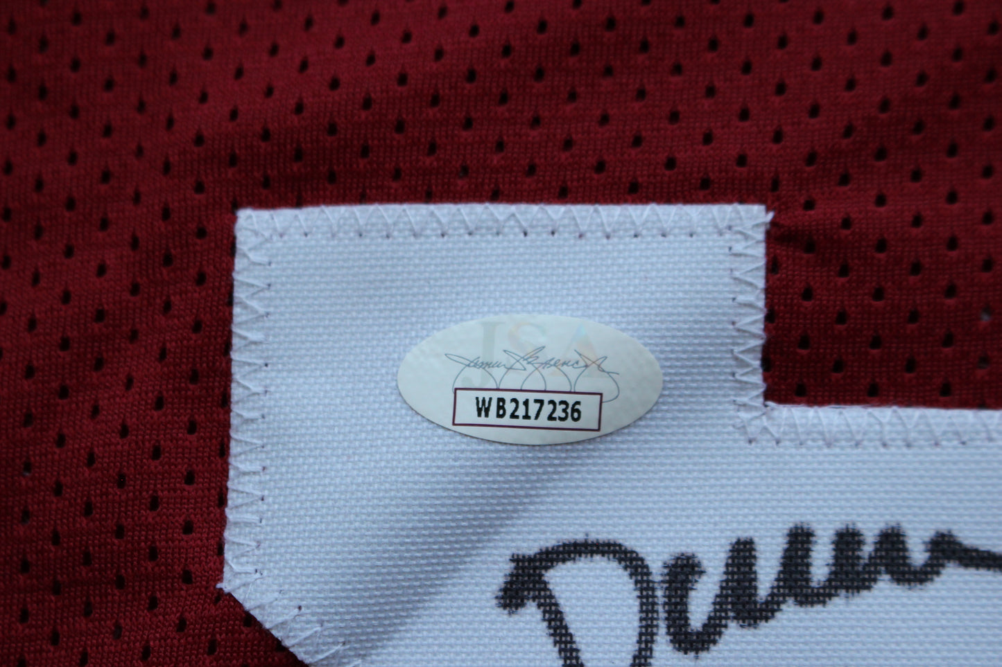 DARREN McFADDEN ARKANSAS RAZORBACKS SIGNED JERSEY w/WPS 2xAllAmerican JSA