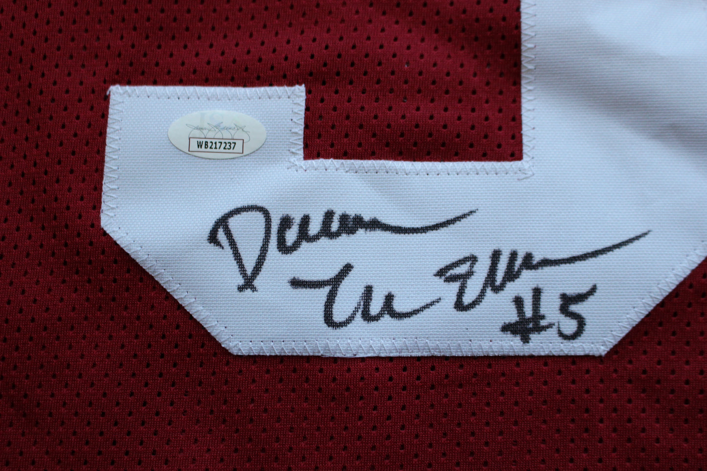 DARREN McFADDEN ARKANSAS RAZORBACKS SIGNED JERSEY w/WPS 2xAllAmerican JSA