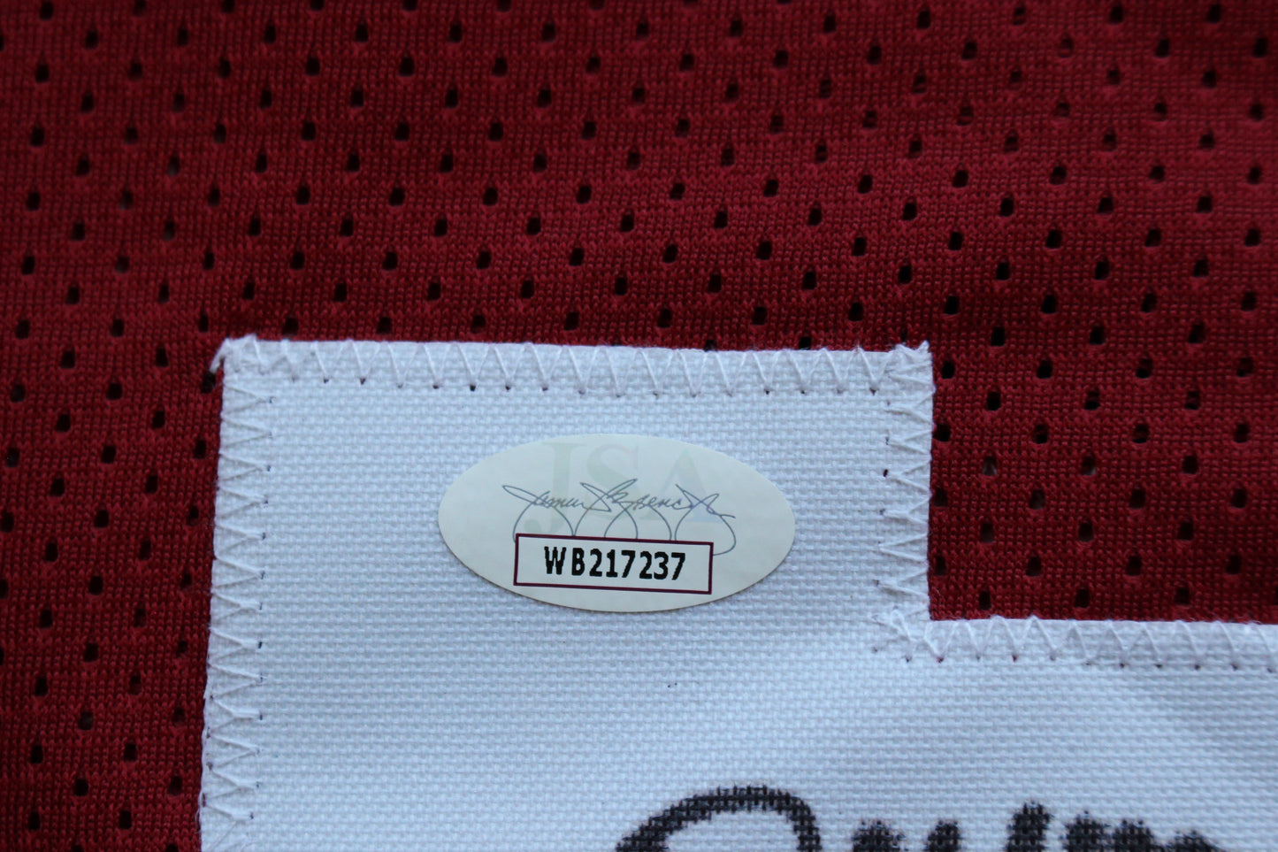 DARREN McFADDEN ARKANSAS RAZORBACKS SIGNED JERSEY w/WPS 2xAllAmerican JSA