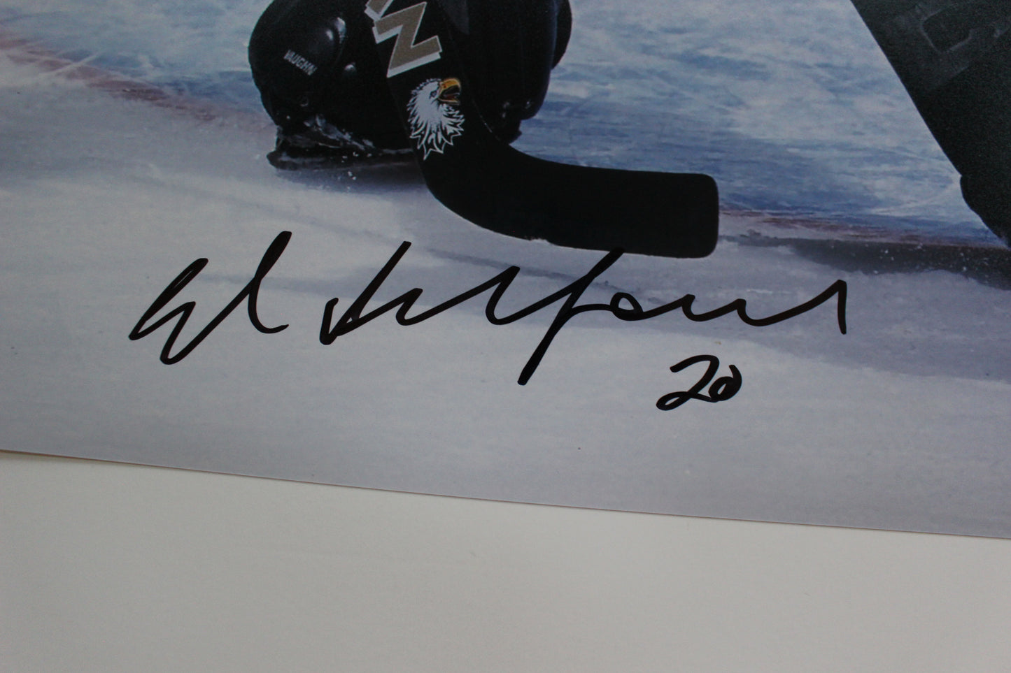 ED BELFOUR DALLAS STARS SIGNED 16x20 PHOTO Eddie the EAGLE BAS COA