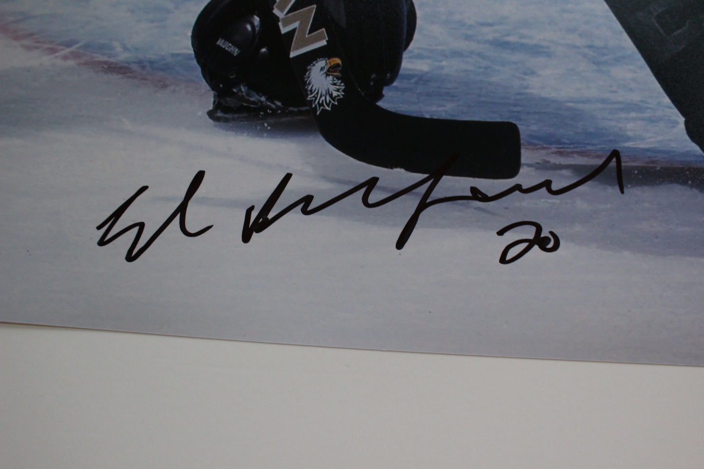 ED BELFOUR DALLAS STARS SIGNED 16x20 PHOTO Eddie the EAGLE BAS COA