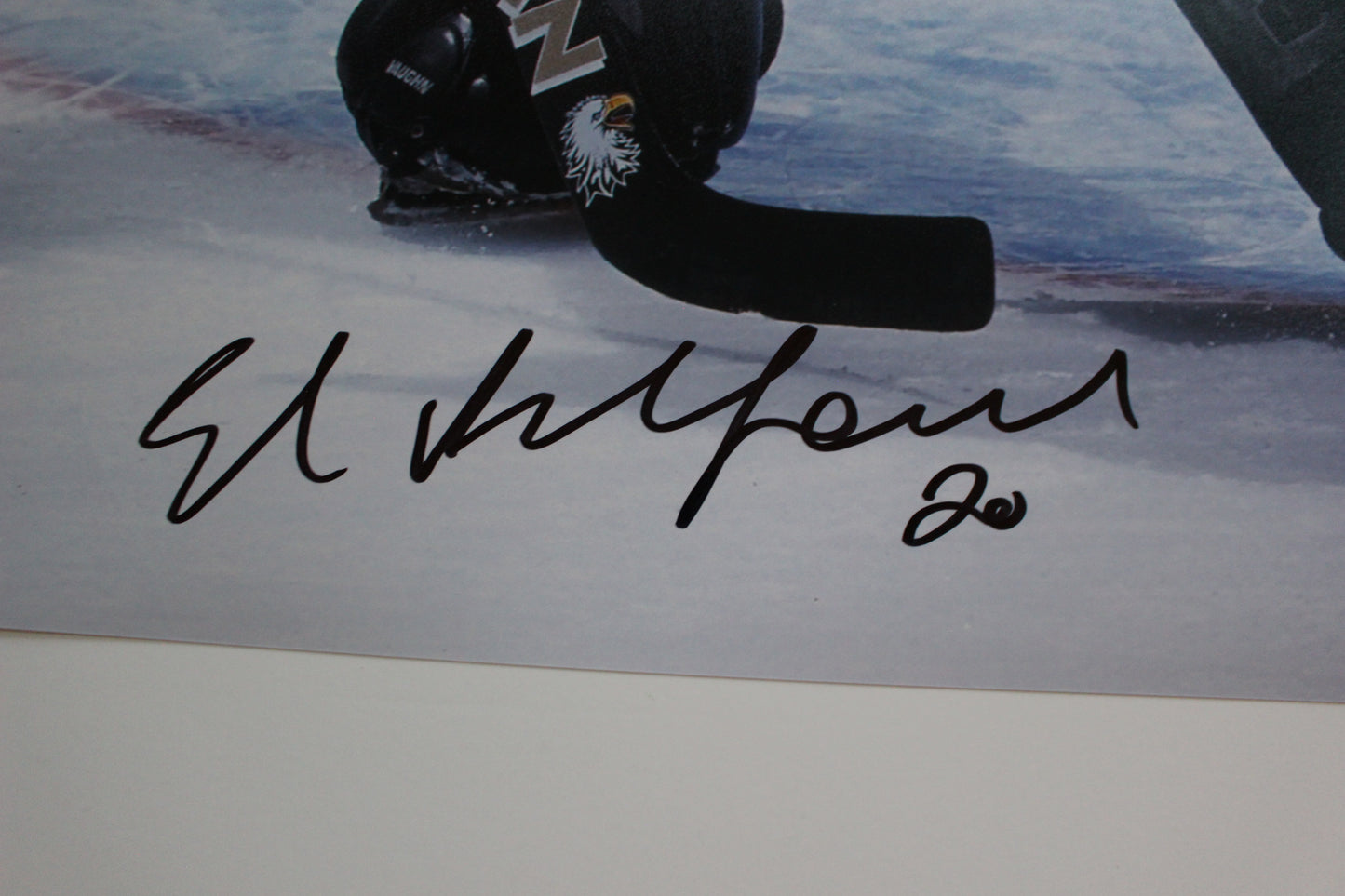 ED BELFOUR DALLAS STARS SIGNED 16x20 PHOTO Eddie the EAGLE BAS COA