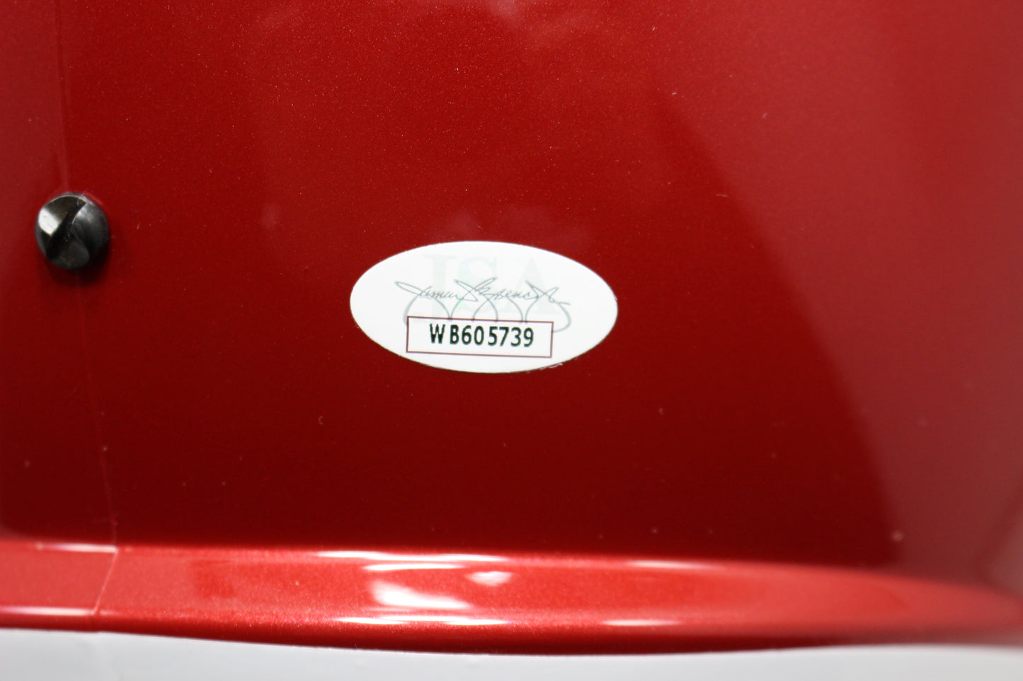 DARREN McFADDEN SIGNED ARKANSAS RAZORBACKS FULL SIZE HELMET wINSCs JSA