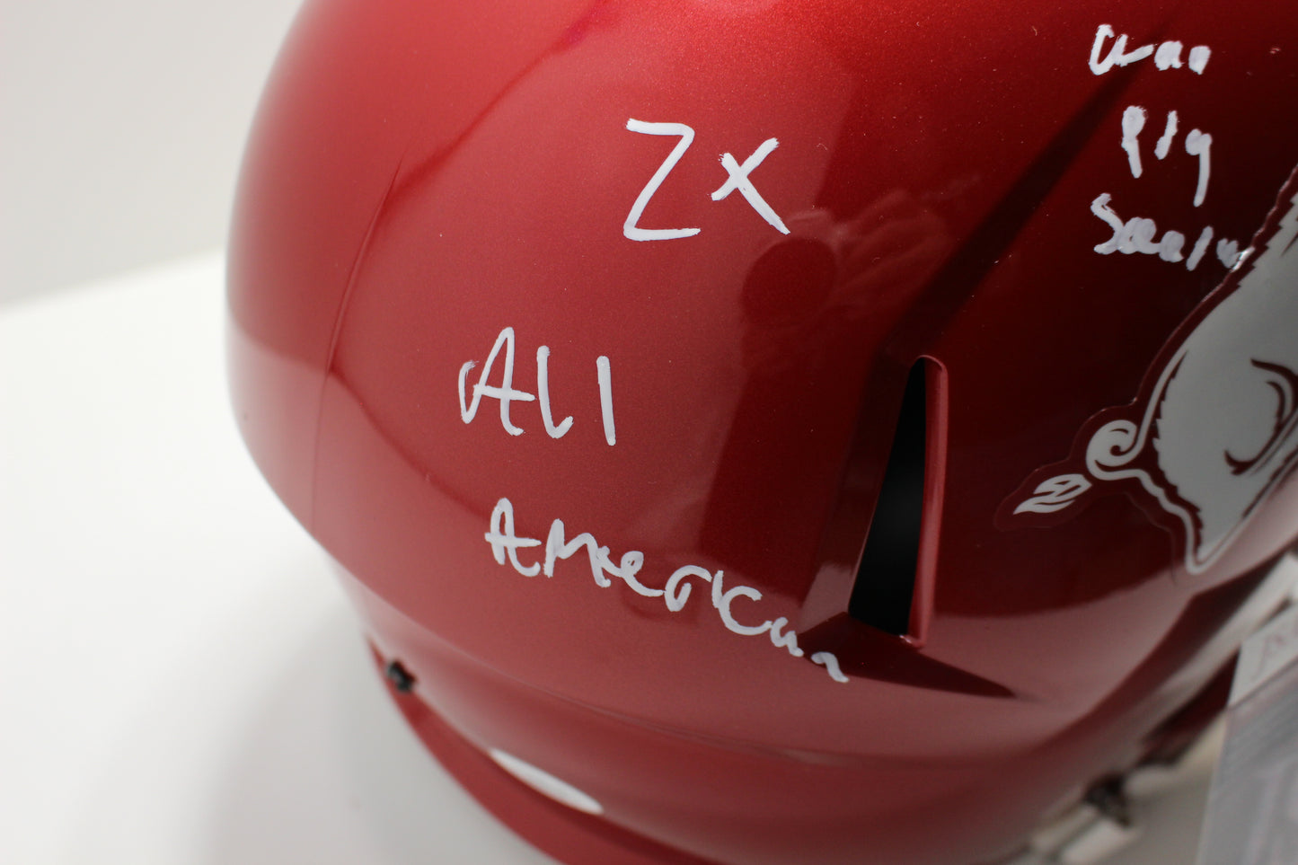 DARREN McFADDEN SIGNED ARKANSAS RAZORBACKS FULL SIZE HELMET wINSCs JSA