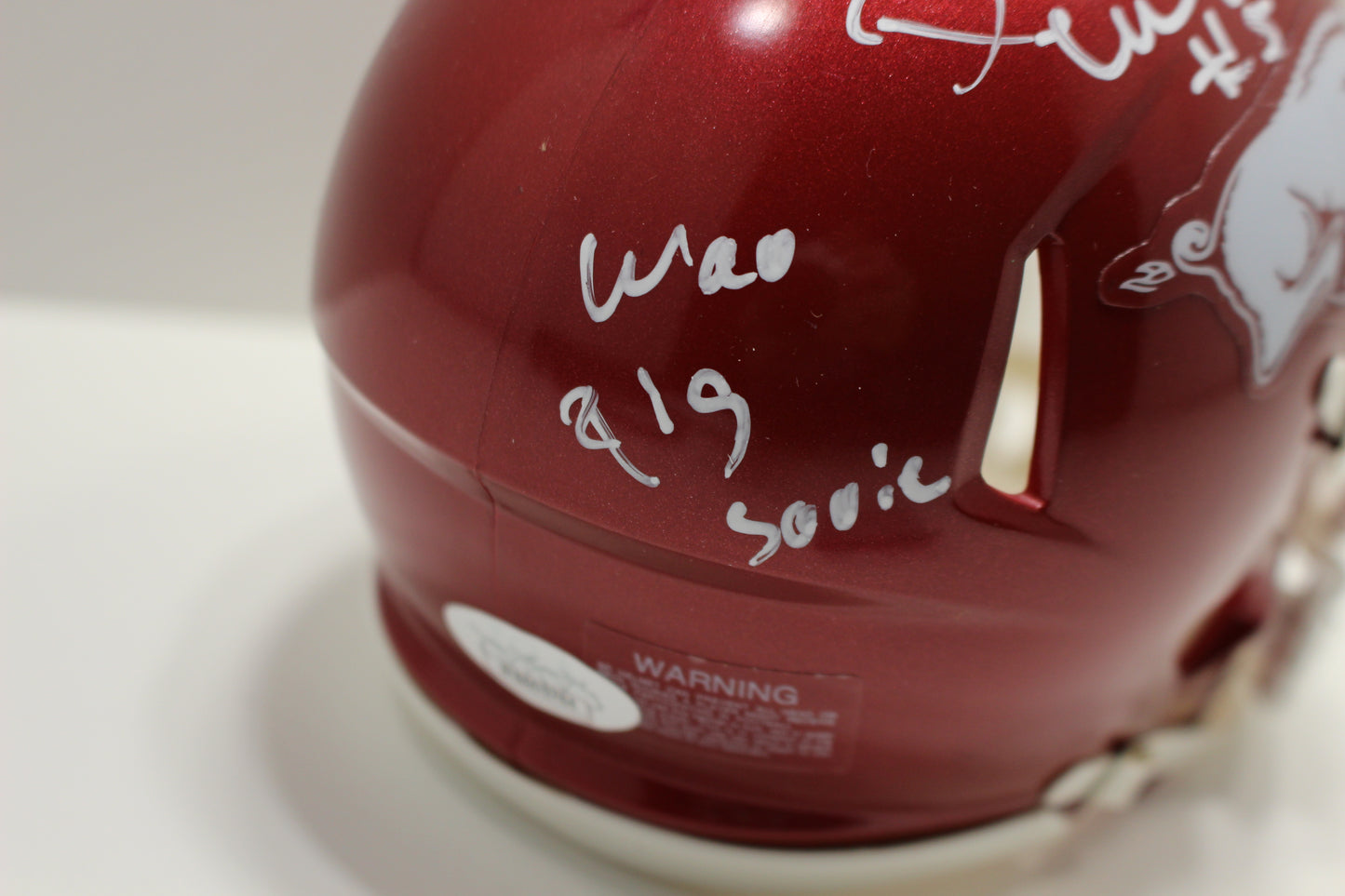 DARREN McFADDEN ARKANSAS RAZORBACKS SIGNED MINI HELMET w/WooPigSooie JSA