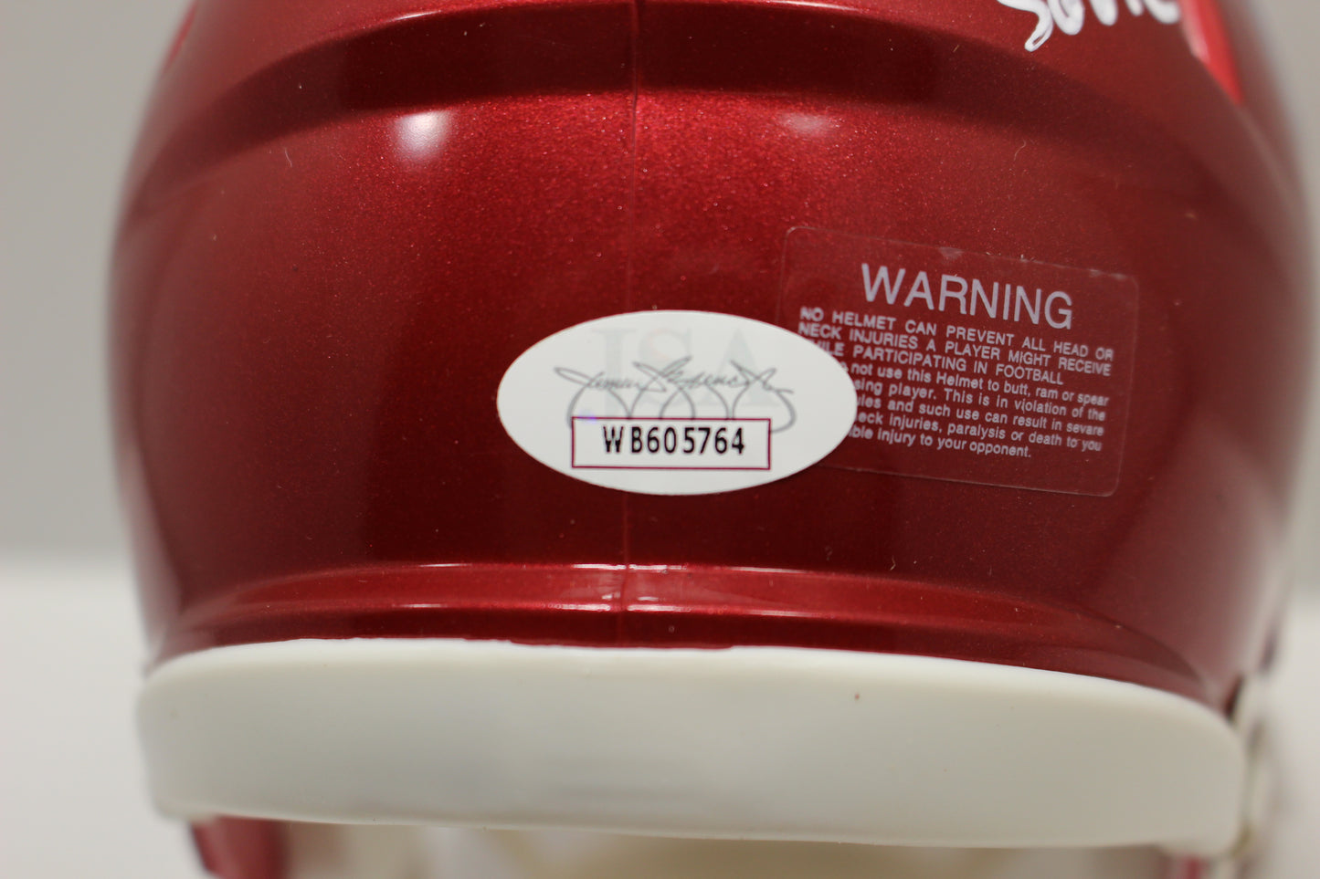DARREN McFADDEN ARKANSAS RAZORBACKS SIGNED MINI HELMET w/WooPigSooie JSA