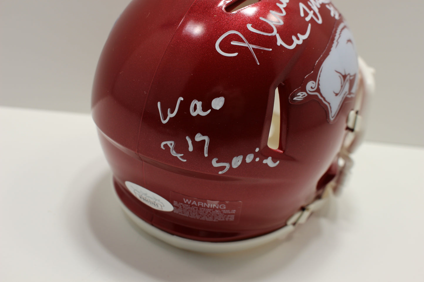 DARREN McFADDEN ARKANSAS RAZORBACKS SIGNED MINI HELMET w/WooPigSooie JSA