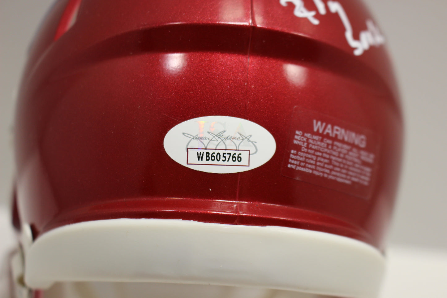 DARREN McFADDEN ARKANSAS RAZORBACKS SIGNED MINI HELMET w/WooPigSooie JSA