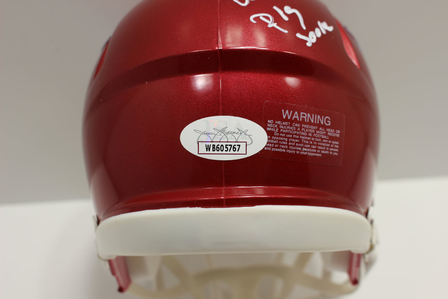 DARREN McFADDEN ARKANSAS RAZORBACKS SIGNED MINI HELMET w/WooPigSooie JSA
