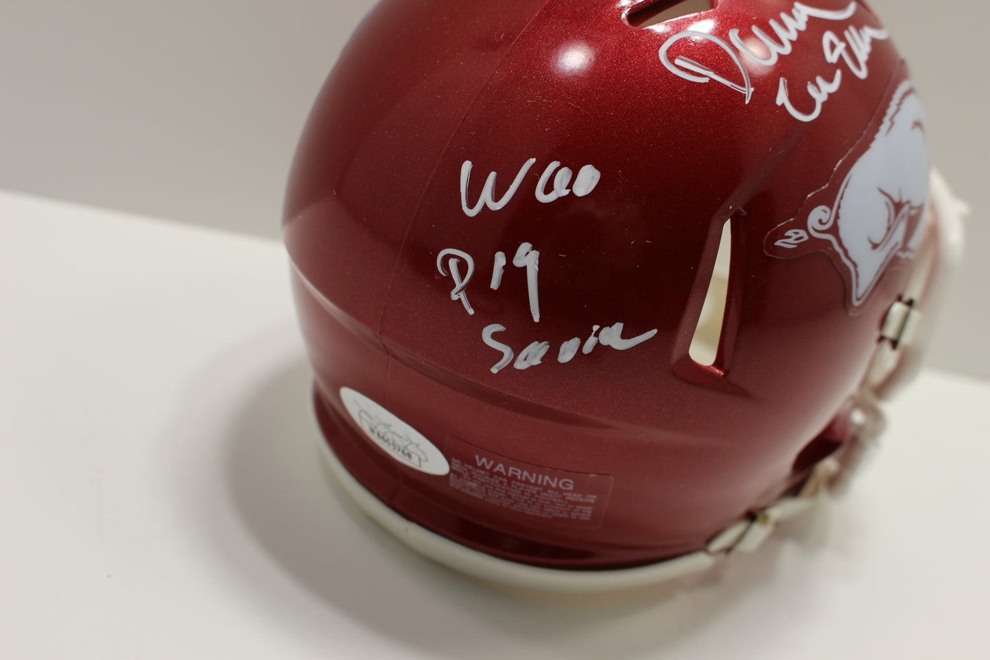 DARREN McFADDEN ARKANSAS RAZORBACKS SIGNED MINI HELMET w/WooPigSooie JSA