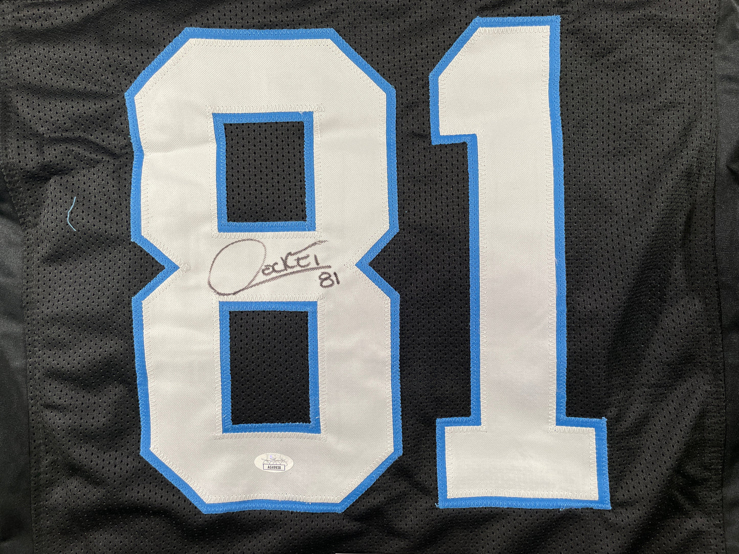 RAGHIB ROCKET ISMAIL CAROLINA PANTHERS SIGNED JERSEY Argonauts Cowboys JSA COA