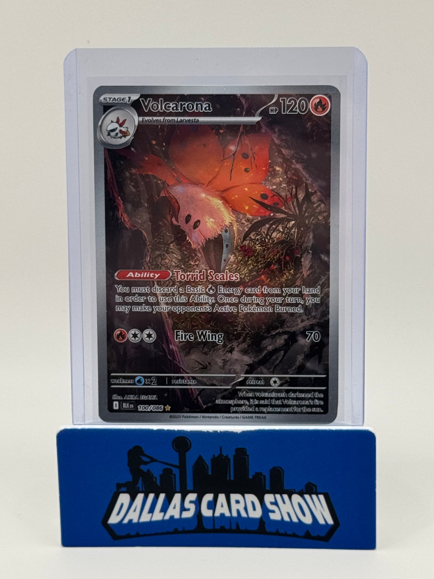 2025 Pokemon - Vocarona (Illustration Rare) - 100/086 Black Bolt