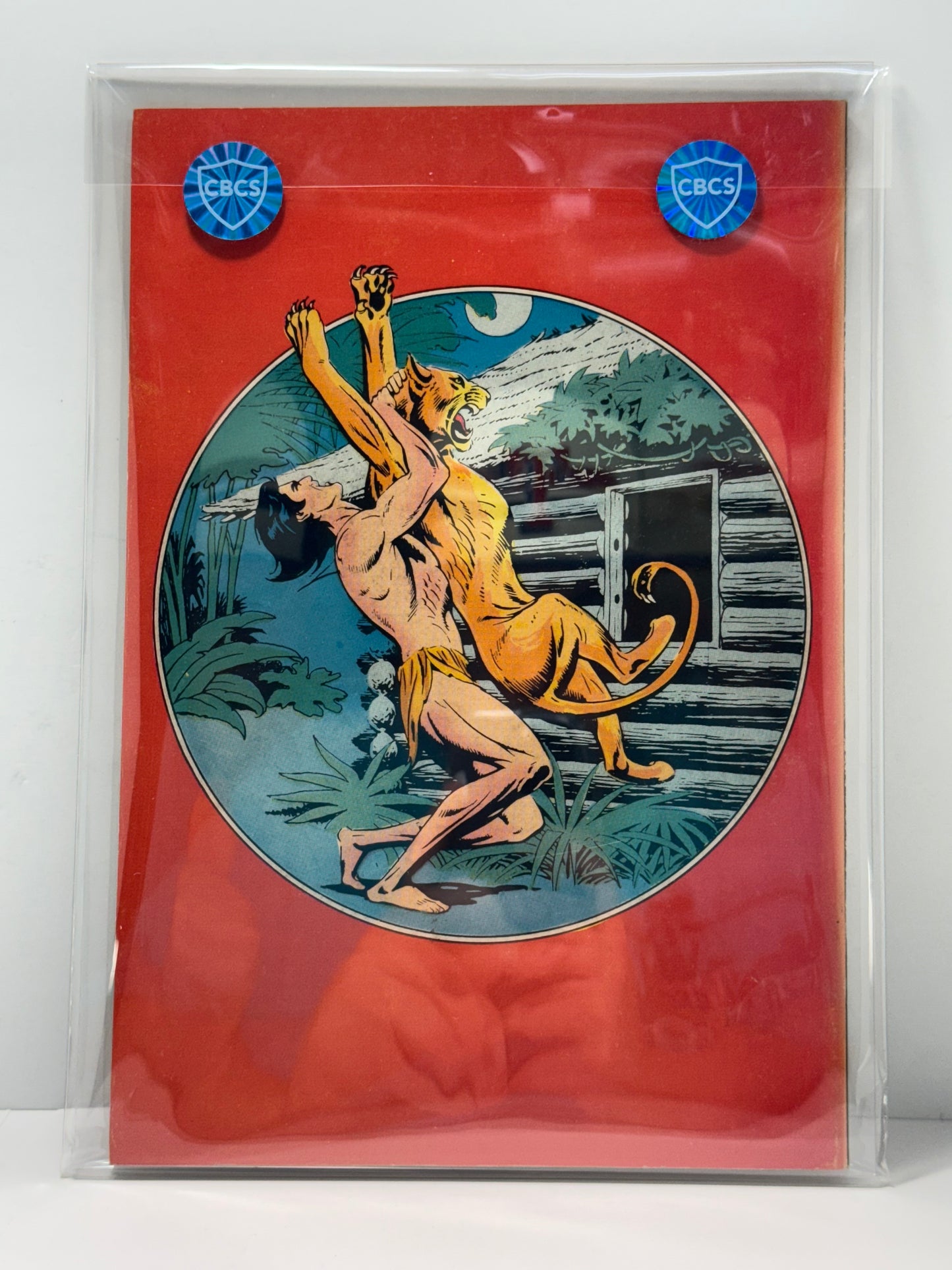 100 Page Super Spectacular Number #19 DC Comic Tarzan 1973 CBCs Comic Review 7.0