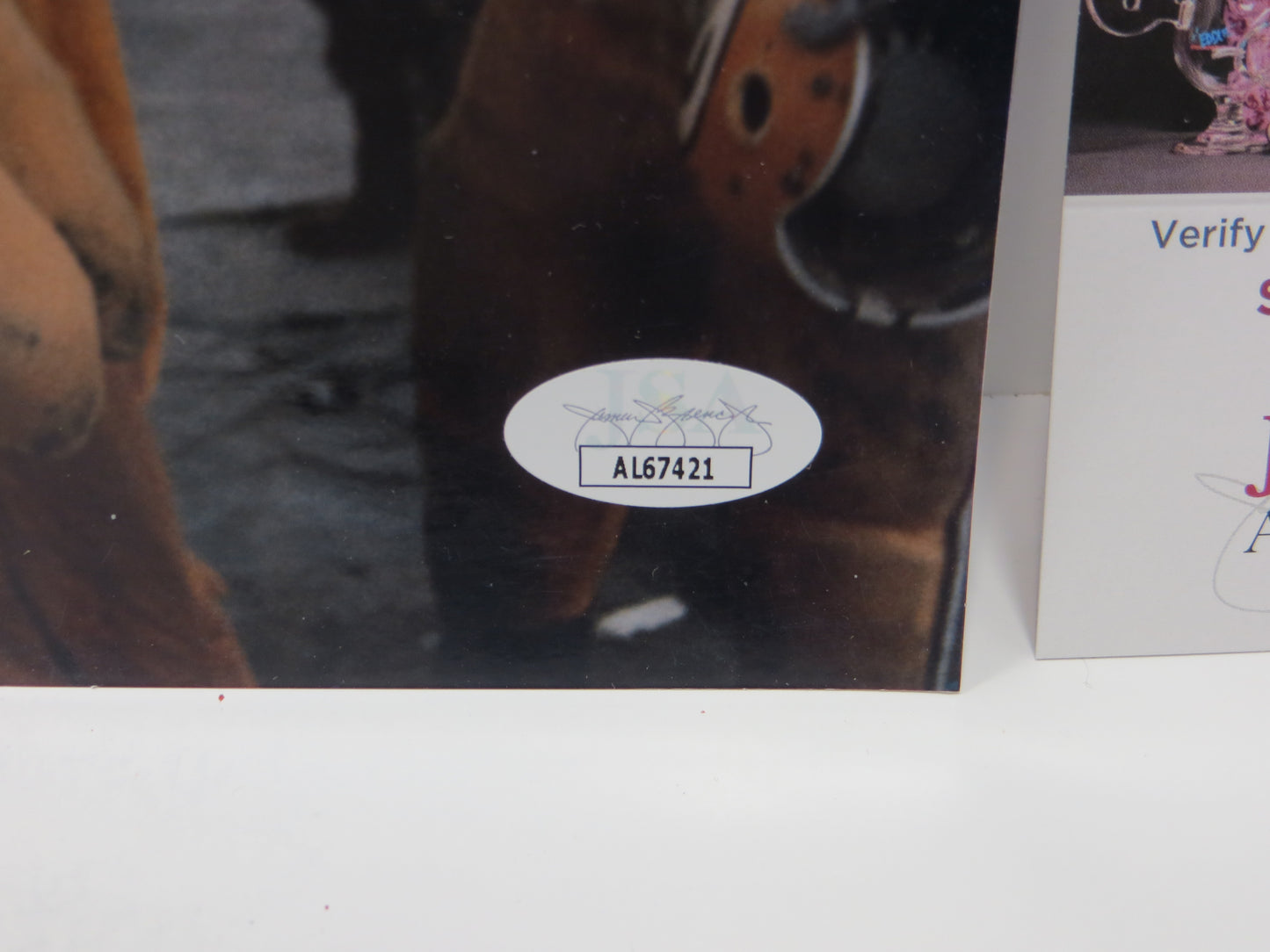 PETE LAMMOMS GREEN BAY PACKERS SIGNED 8x10 PHOTO JSA COA