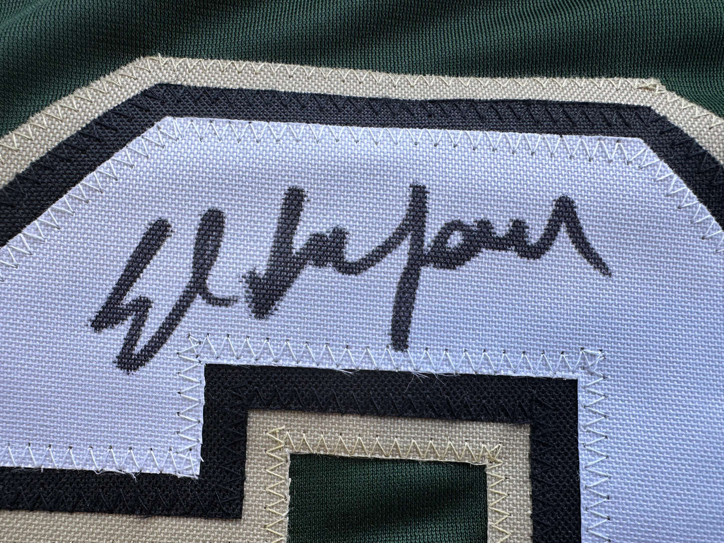 ED BELFOUR SIGNED GREEN HOCKEY JERSEY Dallas Stars BAS