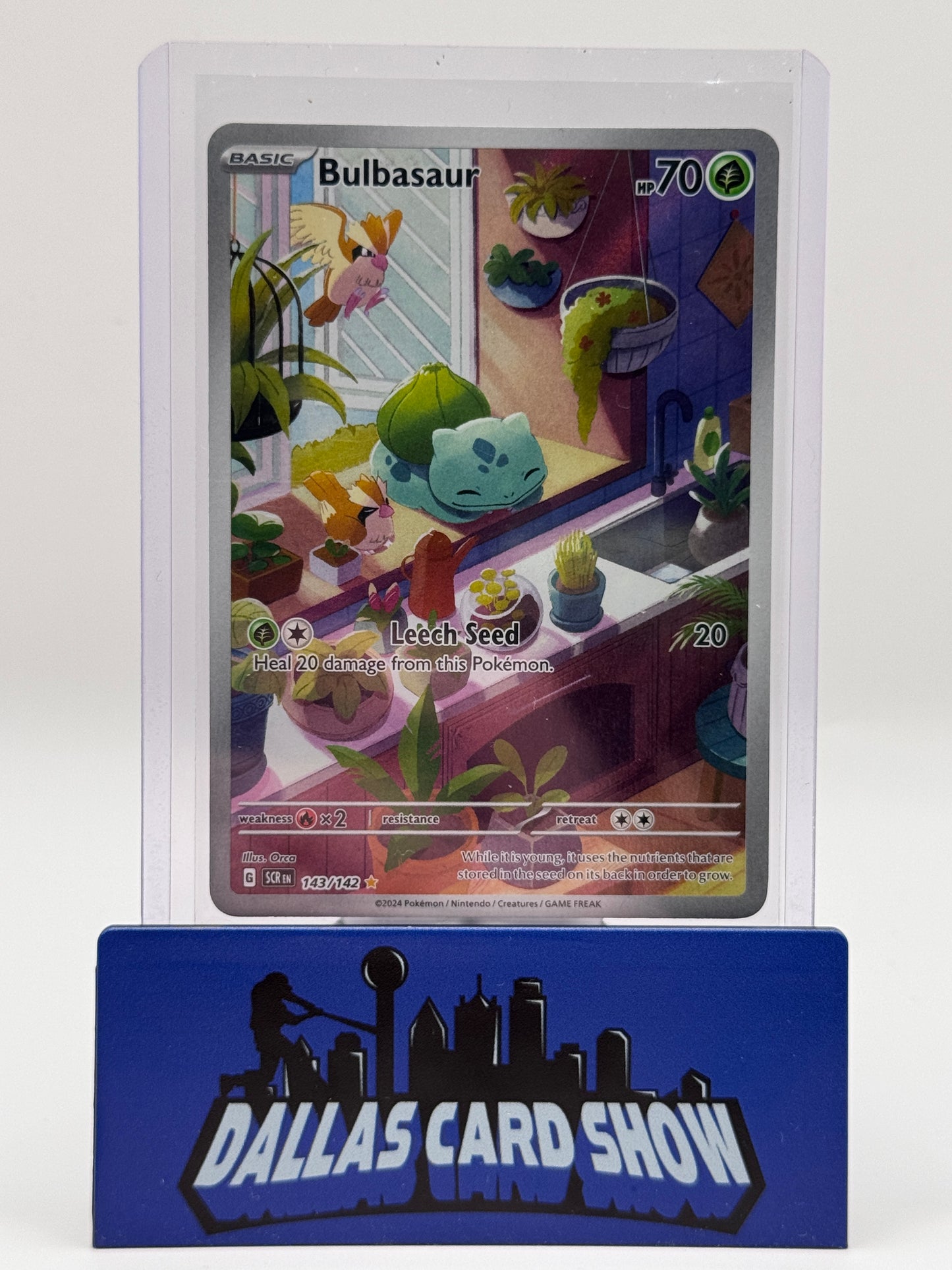 2024 Pokemon - Bulbasaur (Illustration Rare) - 143/142 Stellar Crown NM