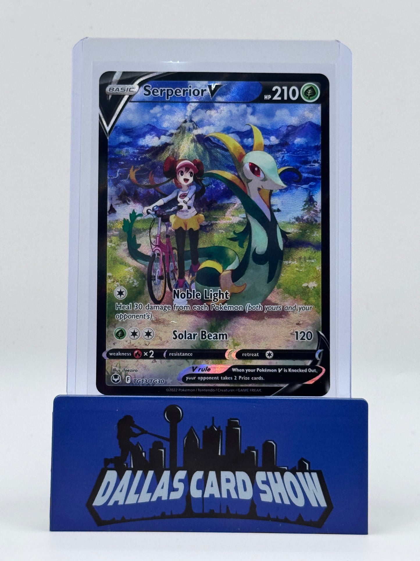 2022 Pokemon - Serperior V (Trainer Gallery) - TG13/TG30 Silver Tempest NM