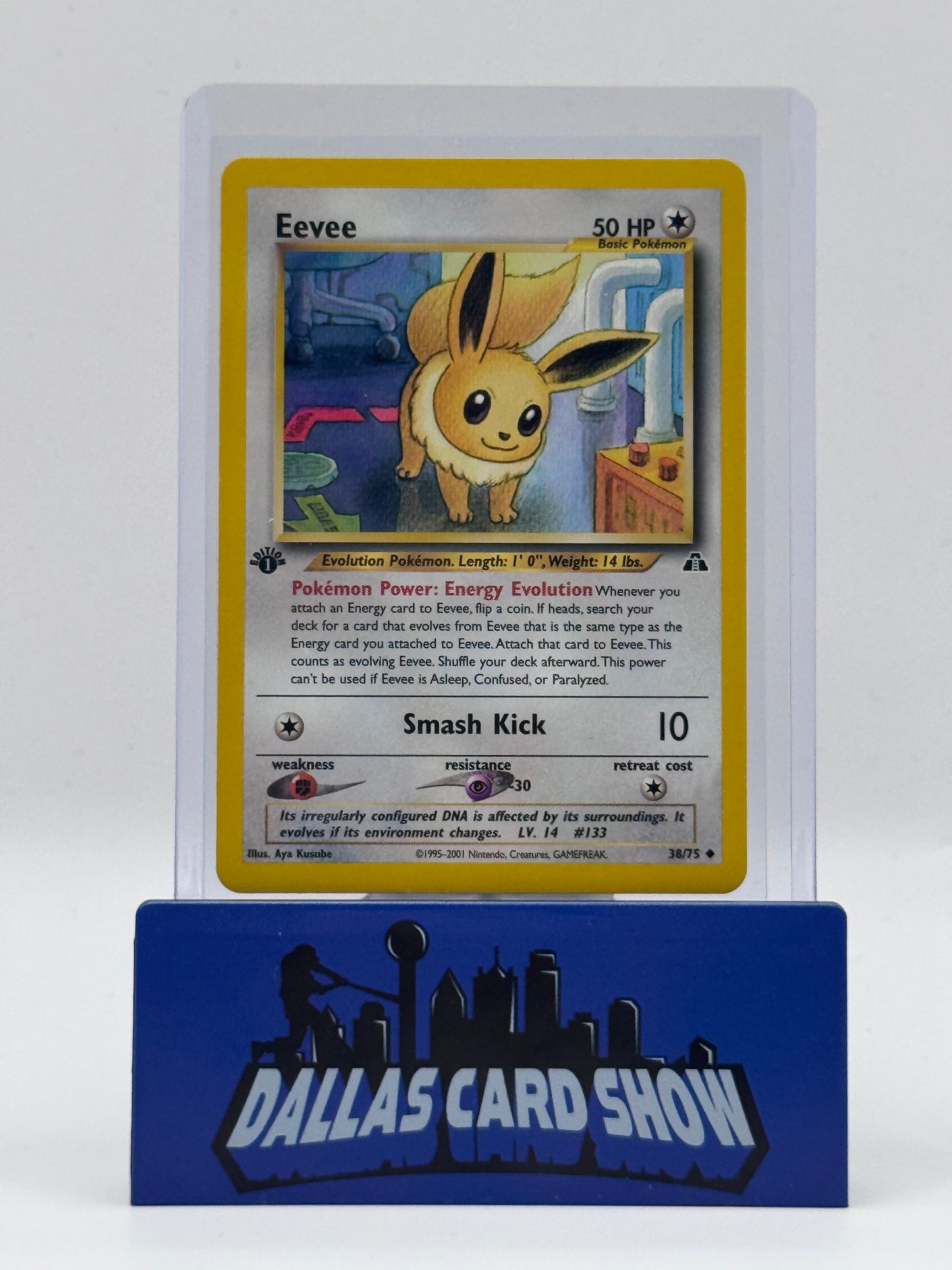 2001 Pokemon - Eevee (Common) - 38/75 1st Edition Neo Discovery NM