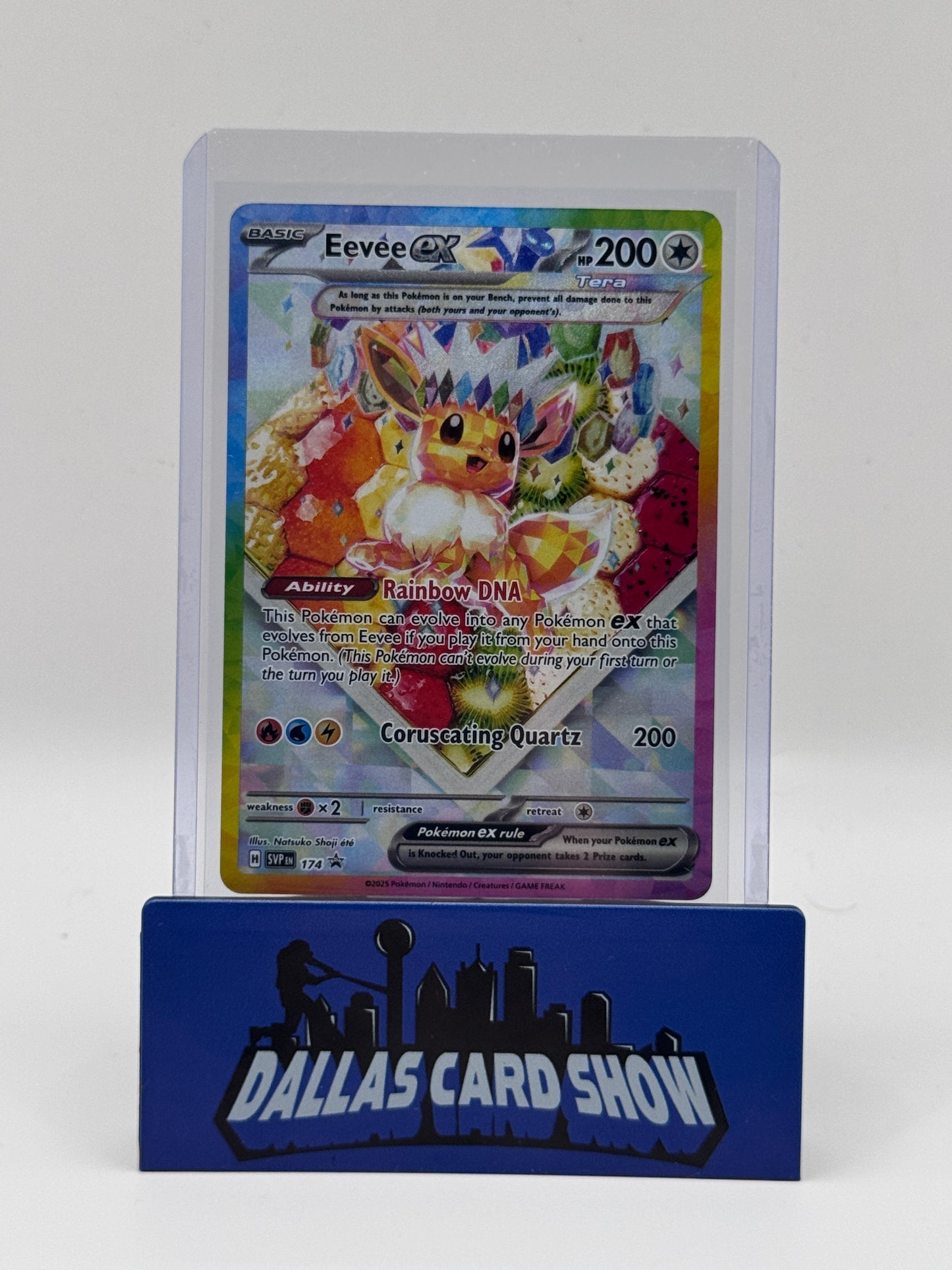 2025 Pokemon - Eevee ex (SIR) - SVP174 Prismatic Premium Coll. Promo NM