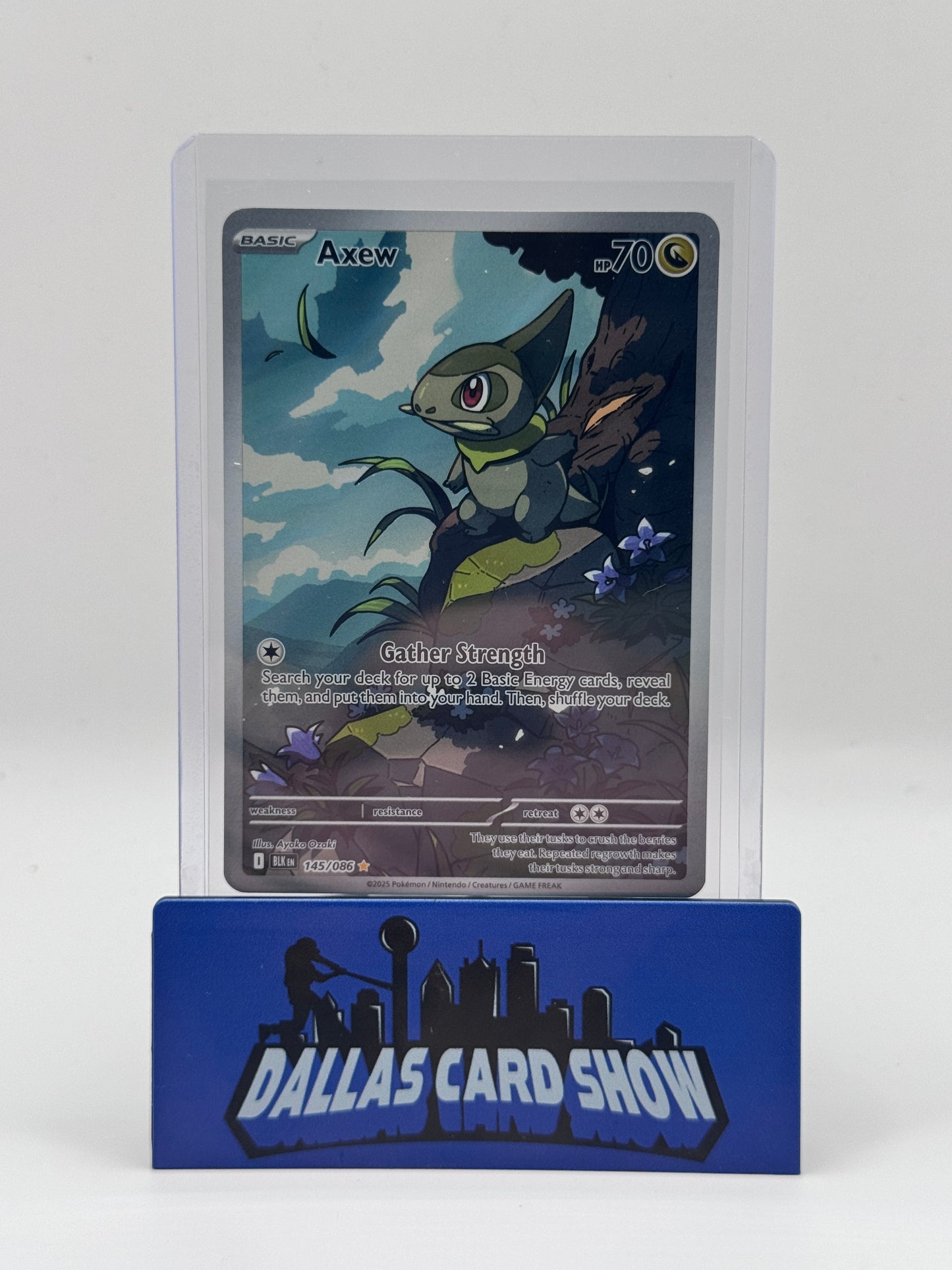 2025 Pokemon - Axew (Illustration Rare) - 145/086 Black Bolt NM