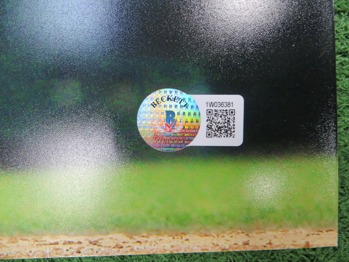 MICHAEL YOUNG TEXAS RANGERS SIGNED 16x20 w/INSC BAS COA