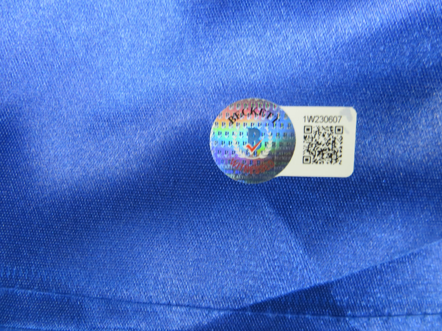 KEVIN VON ERICH SIGNED BLUE RING ROBE BAS COA